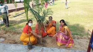 Tree plantation